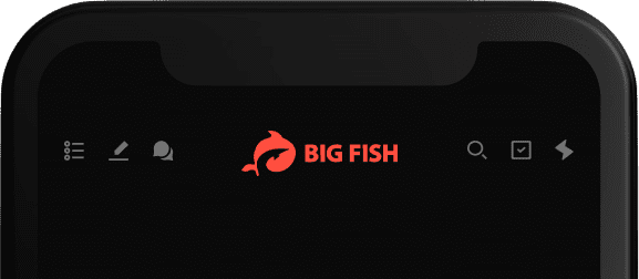 Bigfish in use